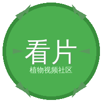看片